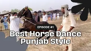 horse dance in pakistan | horse dance in punjab pakistan
