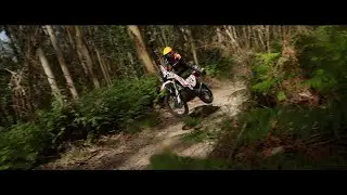 Kove 450 Rally Offroad em Portugal - A Espera Acabou | MOTOCAR