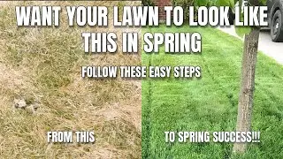 Spring Lawn Care Tips - How To Have The BEST Lawn On The Block. Q+A