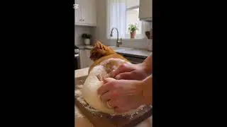 Bread Dough Butt Cat🐈🍑#cat #bread #dough #ai #views