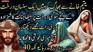 YATEEM KHANE SE BHAG KR MAIN EK SUNSAN DRAKHT KE NEECHAY SO GAI DRAKHT PAR BAITHA JINNAT KA SHEHZADA