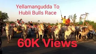 Yellamangudda To Hubli Bulls Race🐂(15-02-2023) Part - 4,