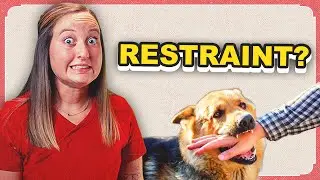 How Vets Build Confidence With Restraint and High-Risk Cases | The Veterinary Roundtable - EP153