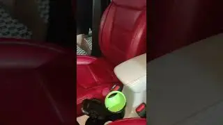 Jeep compass car seat cover