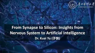 From Synapse to Silicon: Insights from Nervous System to Artificial Intelligence