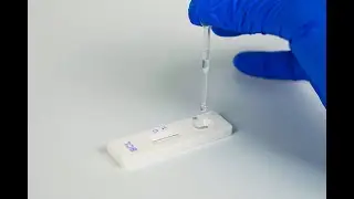 Procedure for Total Aflatoxin Quantitative Test Kit for Feed and Grains
