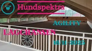 Hundspektra Agility Lagchansen D Tävling Rångedala 16/11