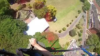 Petal Drop 2019 video