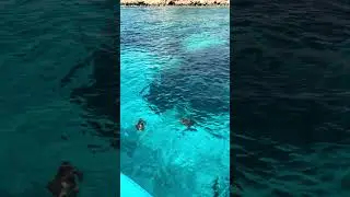 Schildkr&ouml;ten hautnah: Unser Bootsausflug ab Ayia Napa auf Zypern