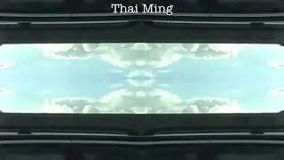 Thai Ming - Geert Waegeman (from the album Paramelodics)