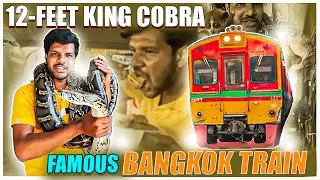 ಹಾವಿನ ಜೊತೆ ಆಟವಾಡುವುದು | Playing with SNAKE Floating Market | Bangkok | Thailand | Mrkrish