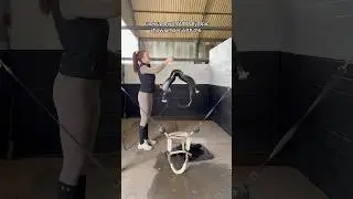He&rsquo;s so beautiful 🥰 #horse #equestrian #horsegirl #youtubeshorts #tackup #funny #abcd #fyp #horses