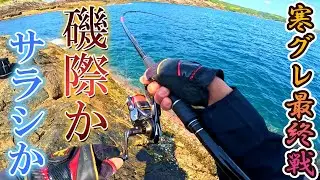 【グレ磯釣り＆堤防グレ釣り】春の荒磯グレはサラシか？磯際か？後半は堤防で数釣りを楽しもう！