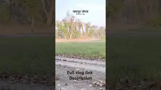 #vlog जसपुर