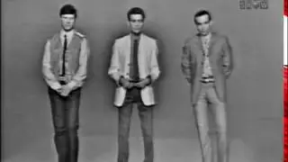 To Tell the Truth - Mod fashion designer; World traveler; Polo champ (Jun 6, 1966)
