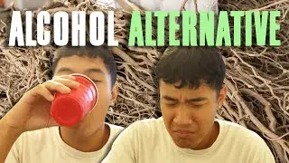 I tried kava nectar for the first time