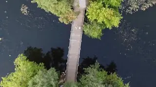 Timber Walkways and Jetties
