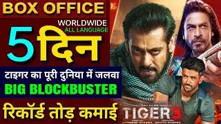 Tiger 3 Box office collection, Salman Khan, Shahrukh Khan, Hrithik Roshan, Emraan Hashmi, #tiger3