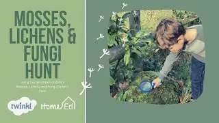 Fungi, Moss and Lichen Exploration