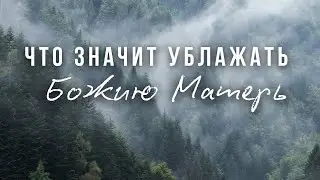 Песнь Богородицы как понять смысл#МаксимКаскун как ублажать Божию Матерь? почитание Богородицы
