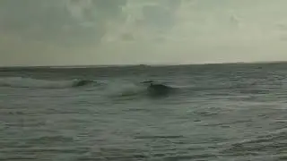 Messages from the Sea