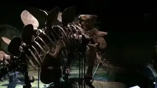 RUNWAY Episode 1: Anniston Museum of Natural History