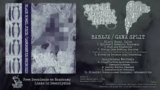Black Bowel Juice / Gangrenous Necrosis Split (Goregrind/Gorenoise - 2025) VANITY