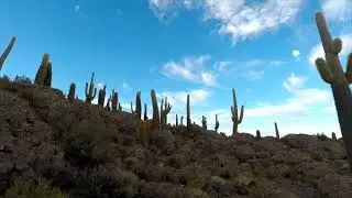 Classical Comforts: Episode 3: American Desert