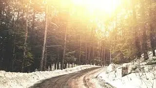 Winter Reflections - Piano Music for Study, Sleep, Meditation