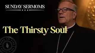 The Thirsty Soul - Bishop Barron’s Sunday Sermon