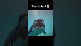 Dog Shark? 🤯 #Dogs #Doggy #Shark #Ocean #Weird #Strange #AiArt #Funny #Lol #Odd #Creepy #New