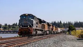 [4K] Morning Trains on the Martinez Sub with UP 1989 and UP 1068