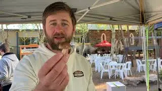 Seasonal Shiitake Mushrooms at the Adelaide Farmers' Market