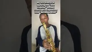 Phrasing with false fingering like Michael Brecker 🎷 #satisfying #saxophone