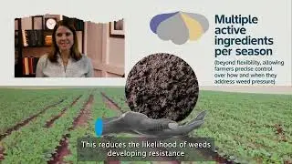 Inside Innovation | Iconic Vyconic: A Flexible Solution for Soybean Growers
