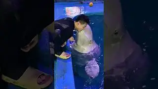 ✨dolfine kiss 💋 boy😱🤗 #shortvideo #shorts #short #viral