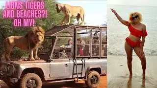 Pt 3 Senegal Vlog ~ WILD! LION FEEDS ON TOP of ME! 😳😖  ~ Hotel Riu Baobab ~ Bandia Reseve
