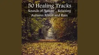 Ways to Heal Yourself with Buddha Meditation