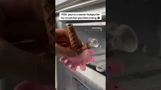 Ice Cream Bong | Dolphin High Gadgets & Smoker Supplies