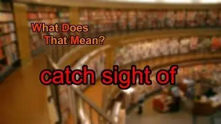 What does catch sight of mean?