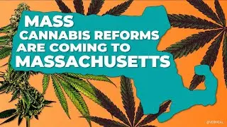 Mass Cannabis Reforms are Coming to Massachusetts