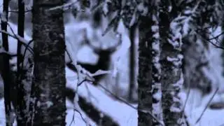 Kurši / Curonians