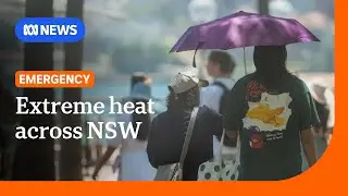 NSW swelters through extreme heatwave with temperatures in the 40s | ABC NEWS