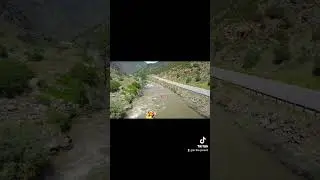 White water rafting!#whitewater #Colorado #river #shorts  #adventure #foryou #foryourepage #tiktok