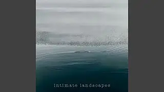 Intimate Landscapes