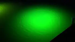 Loomis LED shallow water light vs halogen light
