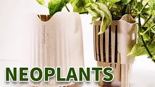 Что такое Neoplants