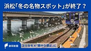 人気アニメにも登場&hellip;浜松｢冬の名物スポット｣が終了？