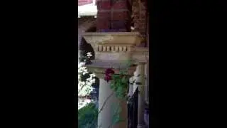 Denver Masonry, LLC Repair-Rebuild-Restore Historic terra cotta fabrication.