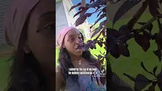 I joined the talk to tree 🌳  #challenge #elementalforces #treechallenge #treetalk #naturespirits